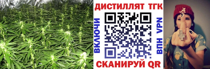 магазин продажи наркотиков Тайшет ТГК THC oil