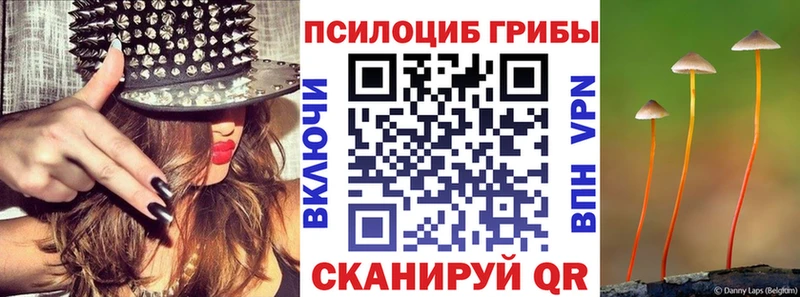Псилоцибиновые грибы ЛСД Тайшет