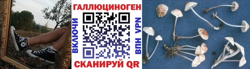 Псилоцибиновые грибы мицелий  Тайшет 